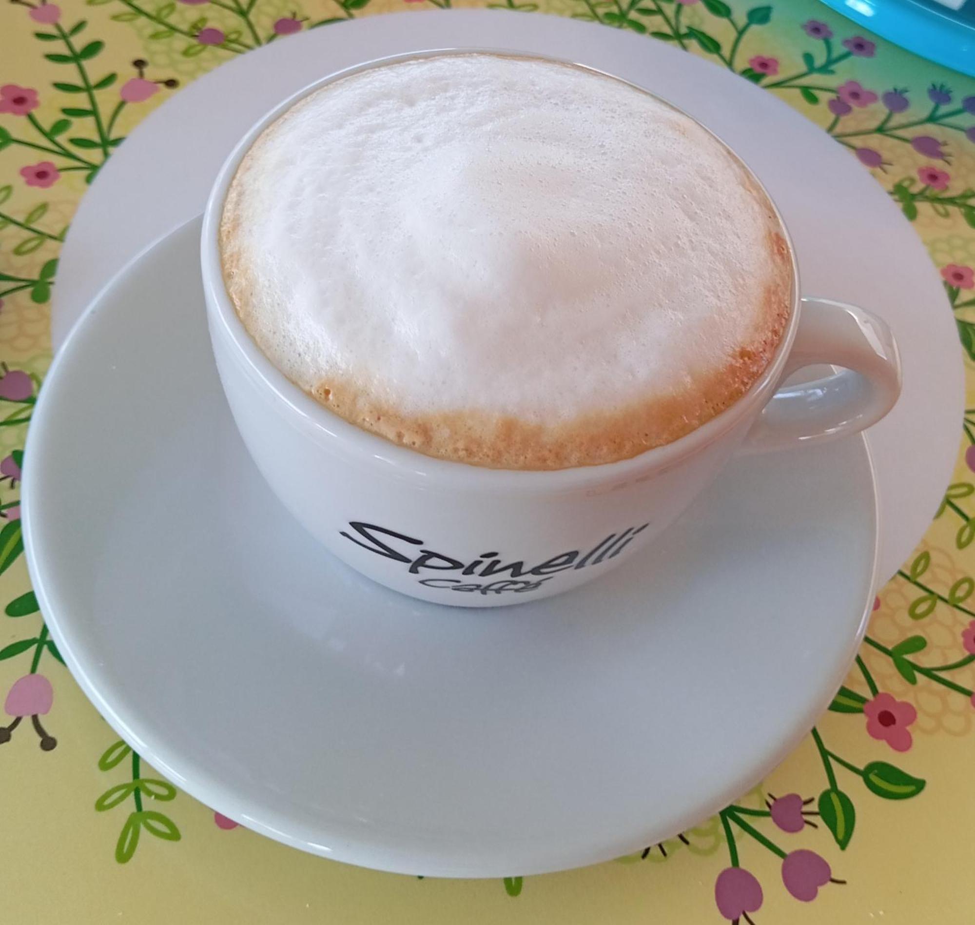 B&B Il Cedro Salve Dış mekan fotoğraf
