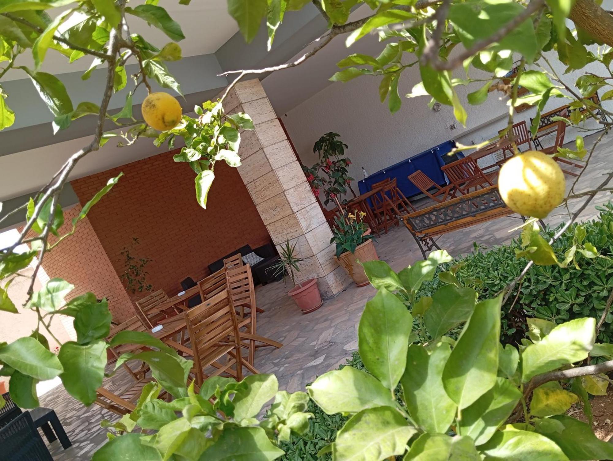 B&B Il Cedro Salve Dış mekan fotoğraf